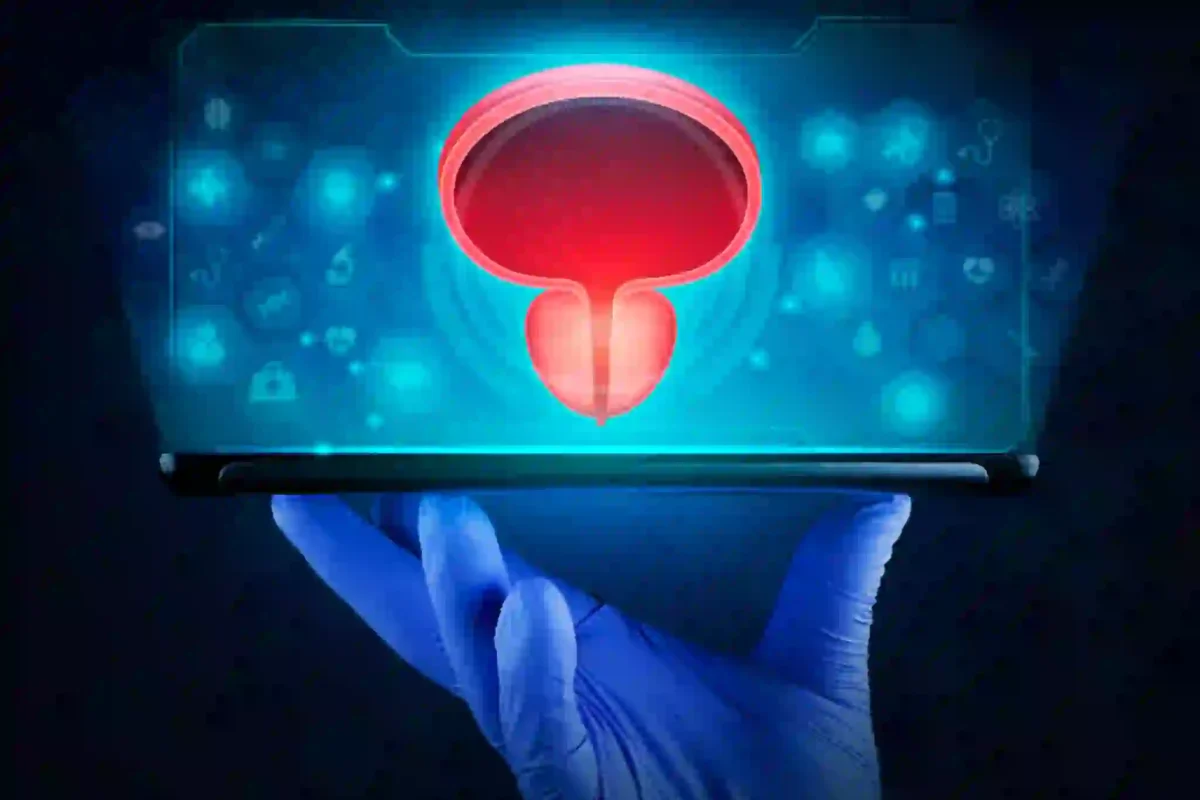 normal-prostate-1200x800.webp