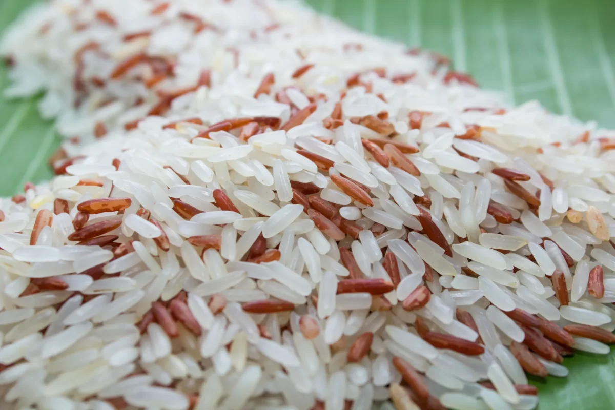 الأرز و فوائده على جسم الانسان