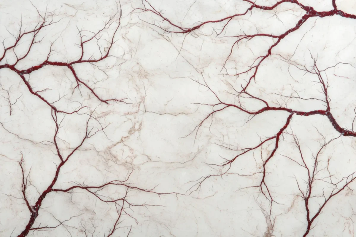 veins-1200x800.webp